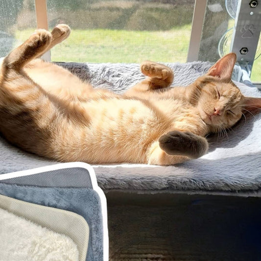 Opvouwbare Kattenhangmat