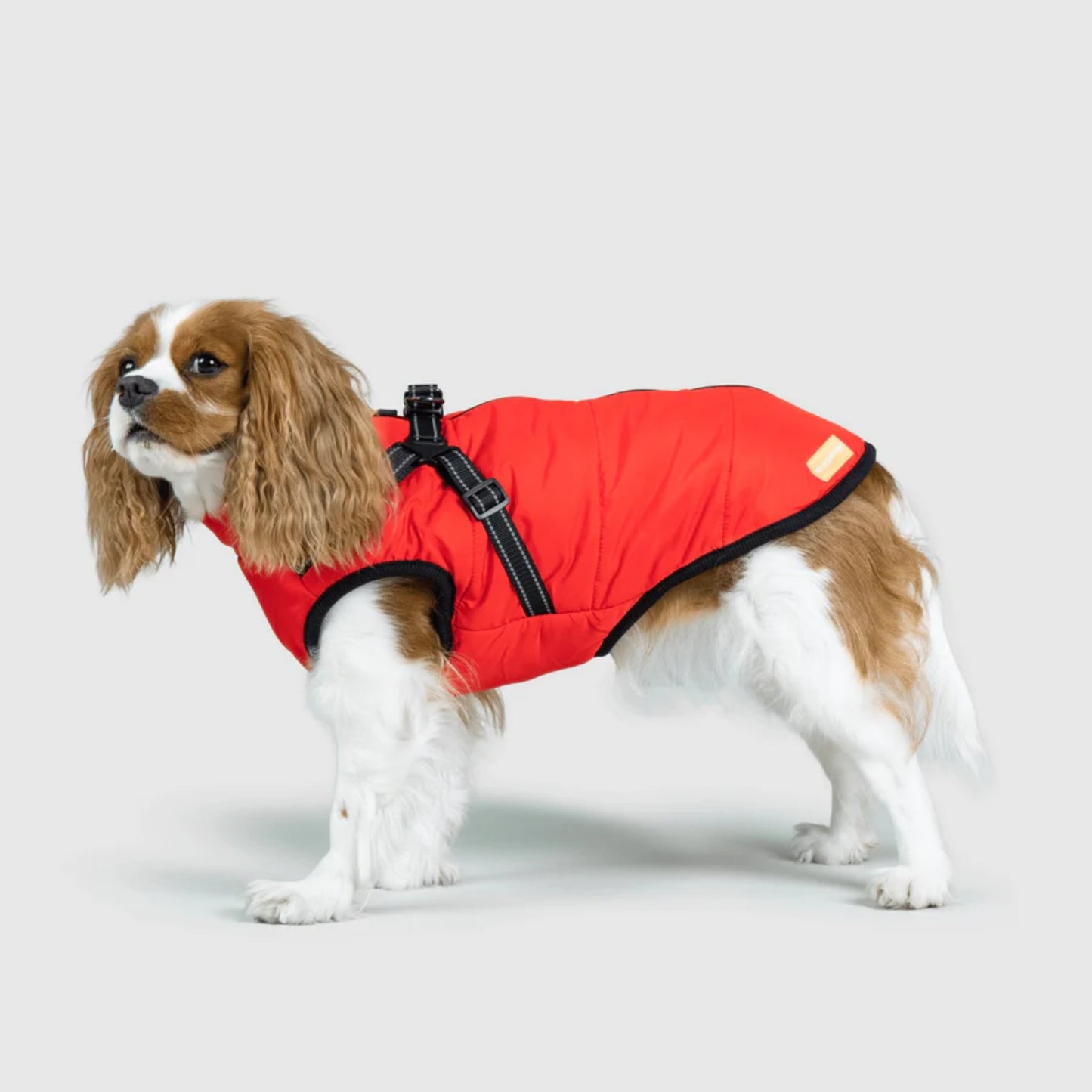 DoggyKings™ 3-in-1 Hondenjas