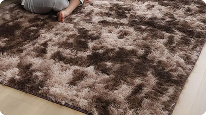 Ultra Soft Gradient Shag Rug