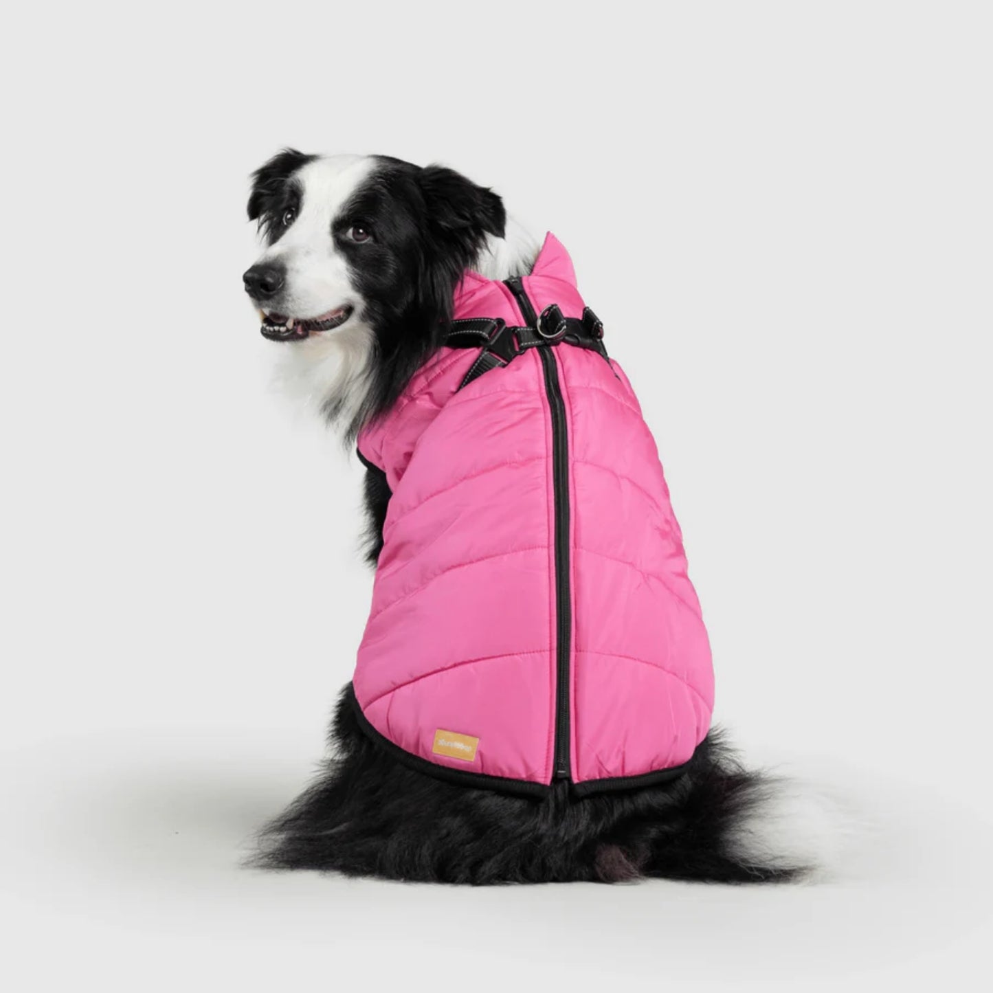 DoggyKings™ 3-in-1 Hondenjas