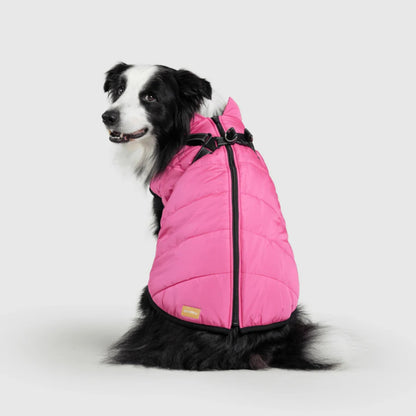 DoggyKings™ 3-in-1 Hondenjas