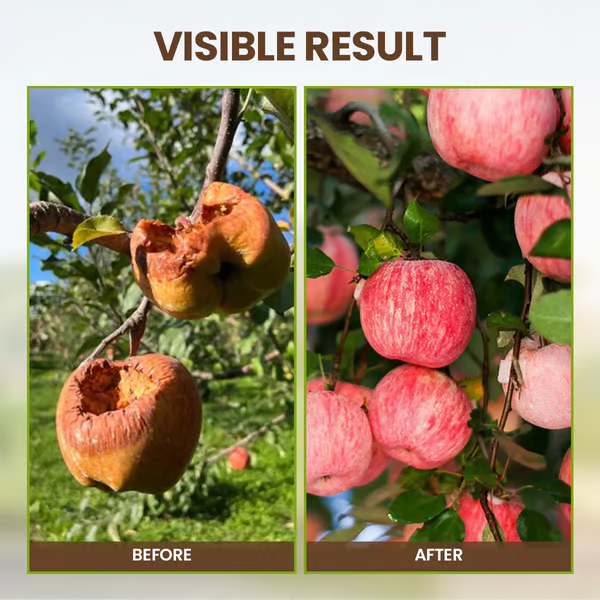 Minerale Bodemvoeding - Verbeter je plantgrond - 1+1 GRATIS