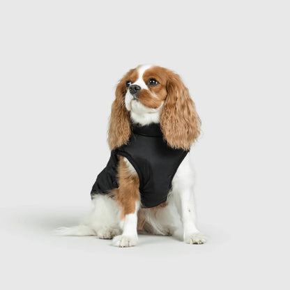 DoggyKings™ 3-in-1 Hondenjas