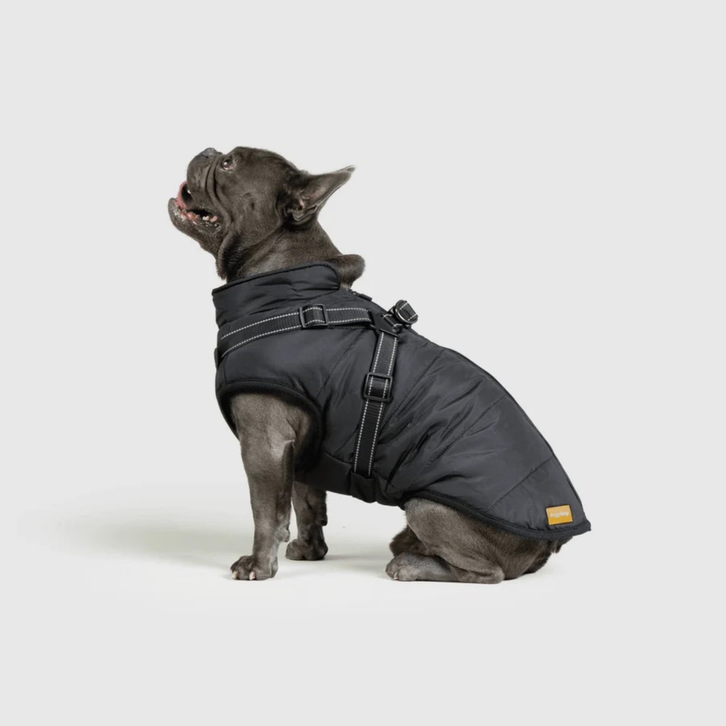 DoggyKings™ 3-in-1 Hondenjas