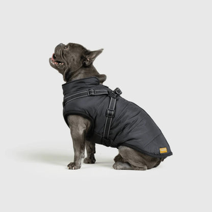 DoggyKings™ 3-in-1 Hondenjas