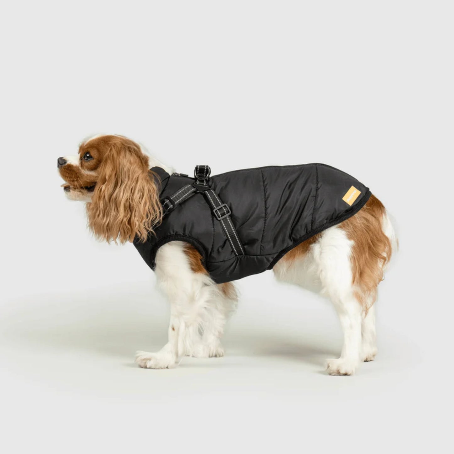DoggyKings™ 3-in-1 Hondenjas