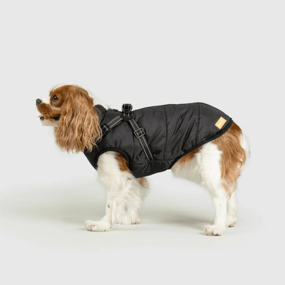 DoggyKings™ 3-in-1 Hondenjas