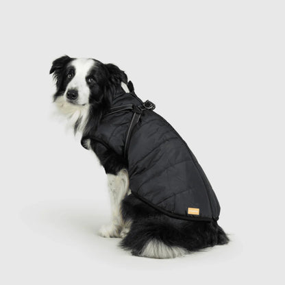 DoggyKings™ 3-in-1 Hondenjas