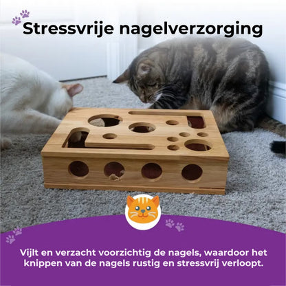 😻 Kattenkras Puzzeldoos: nagelvijl zonder stress, alternatief voor nagelknippers en -slijpers