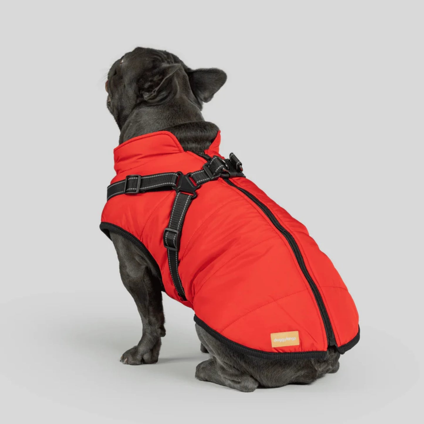 DoggyKings™ 3-in-1 Hondenjas