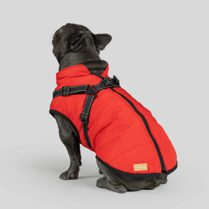 DoggyKings™ 3-in-1 Hondenjas