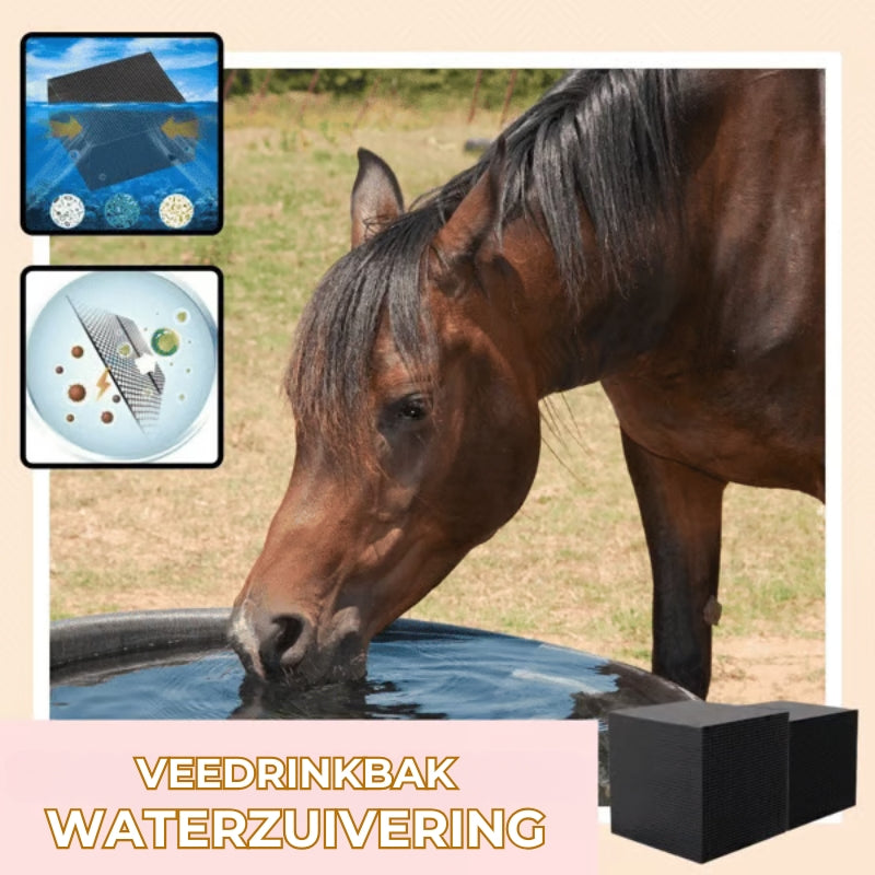 🍃Aquarium waterzuiveringskubus