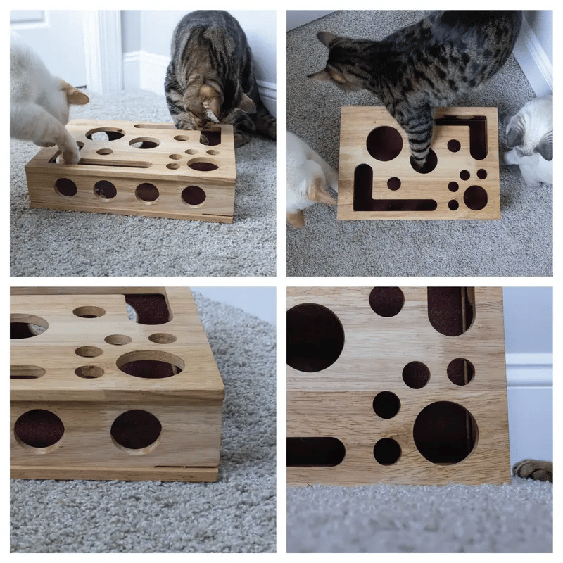 😻 Kattenkras Puzzeldoos: nagelvijl zonder stress, alternatief voor nagelknippers en -slijpers