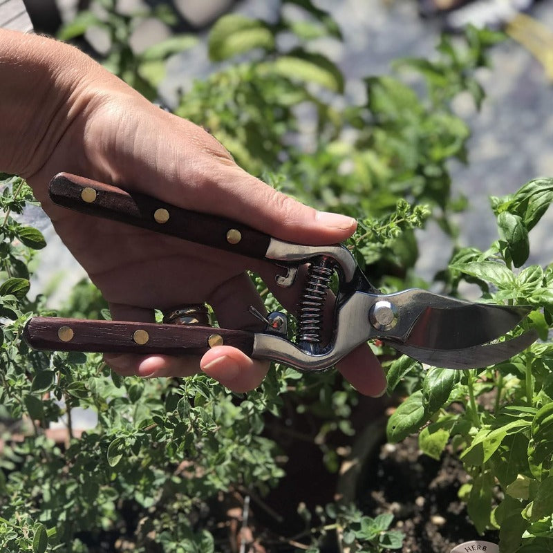 Handgesmede multifunctionele tuin- en keukenschaar