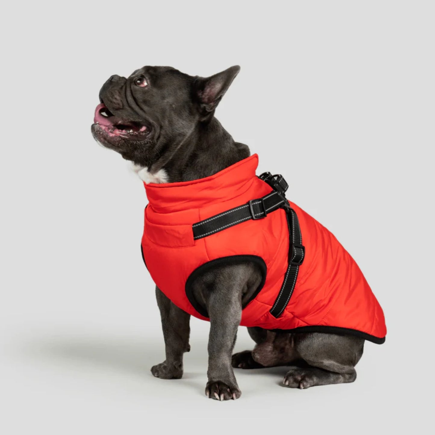DoggyKings™ 3-in-1 Hondenjas