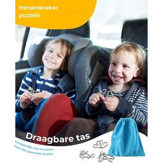 Hersenkraker Metalen Puzzelset