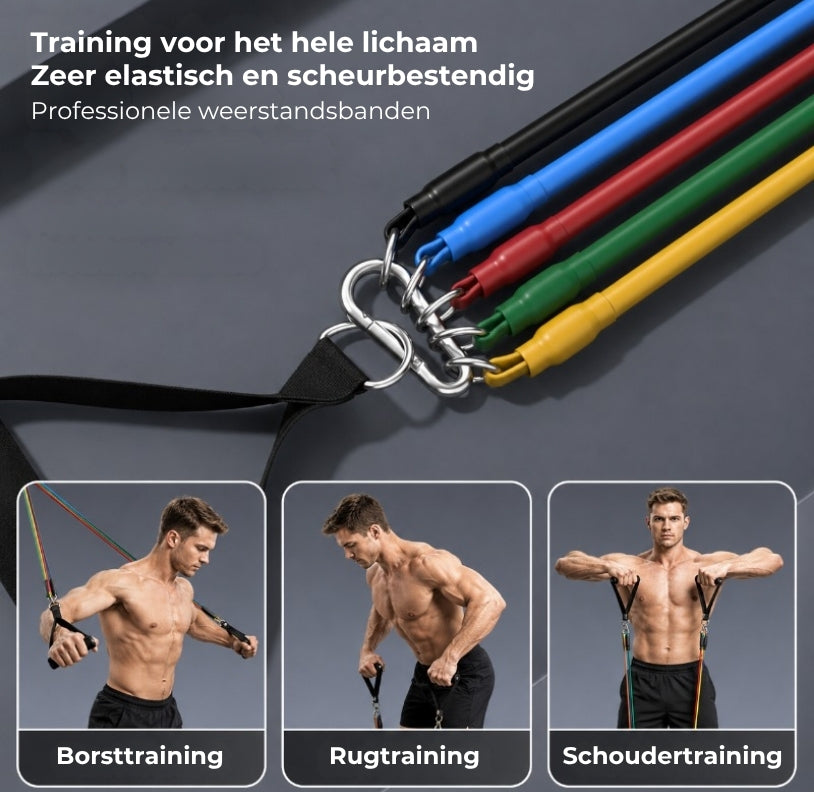 Elastische Trainingsrekkers - 5 Stuks