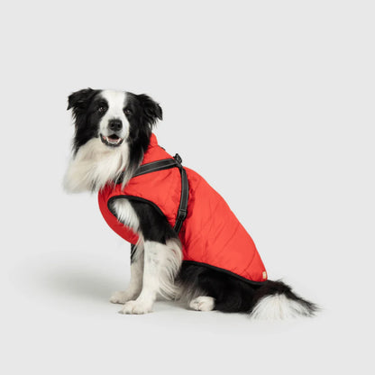 DoggyKings™ 3-in-1 Hondenjas