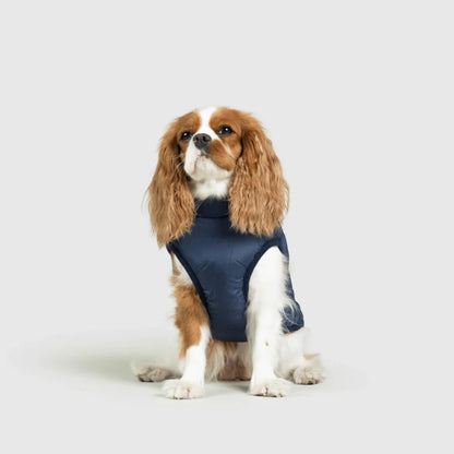 DoggyKings™ 3-in-1 Hondenjas