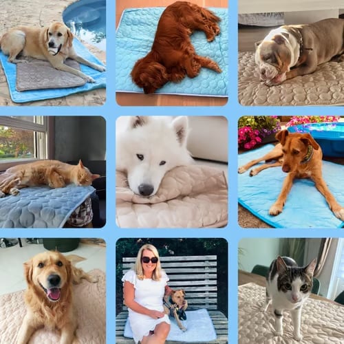 🐶 Hondenkoelmat (voor zomerse frisheid)
