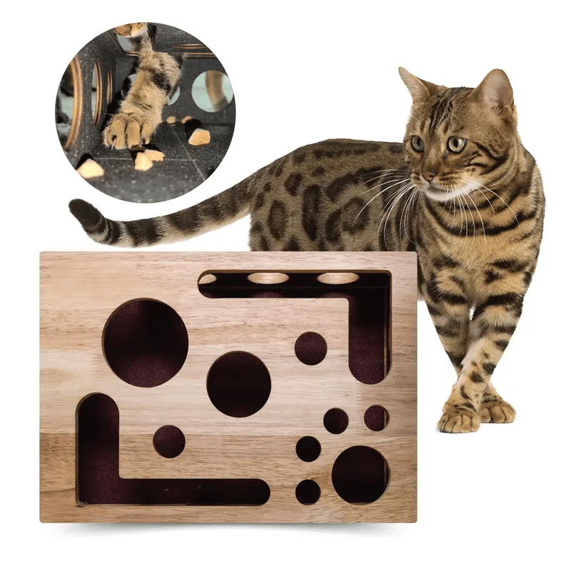 😻 Kattenkras Puzzeldoos: nagelvijl zonder stress, alternatief voor nagelknippers en -slijpers