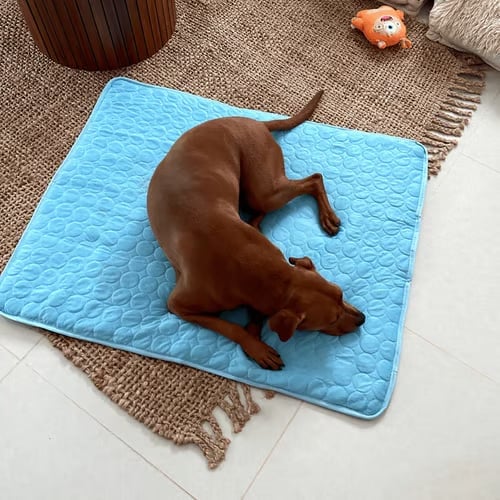 🐶 Hondenkoelmat (voor zomerse frisheid)