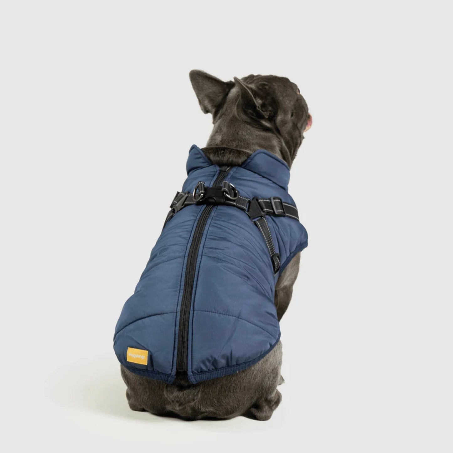 DoggyKings™ 3-in-1 Hondenjas