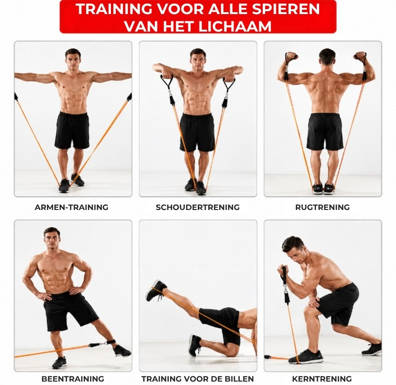 Elastische Trainingsrekkers - 5 Stuks