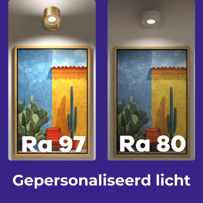 Smart+ Aureool Lampen: universeel bedienbaar