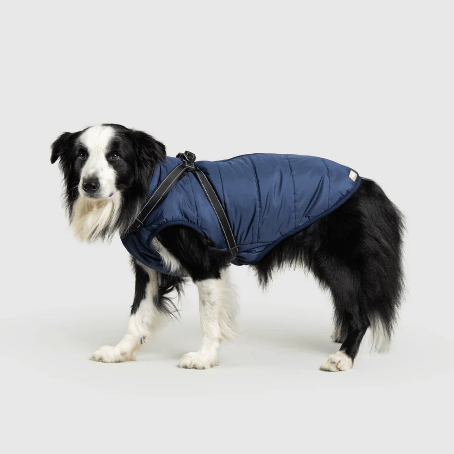 DoggyKings™ 3-in-1 Hondenjas