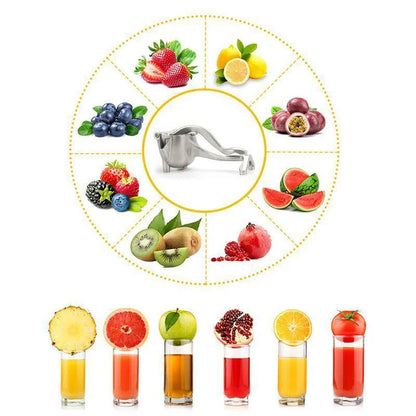 Fruitpers - Roestvrij Staal / Kunststof