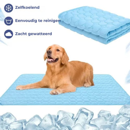 🐶 Hondenkoelmat (voor zomerse frisheid)