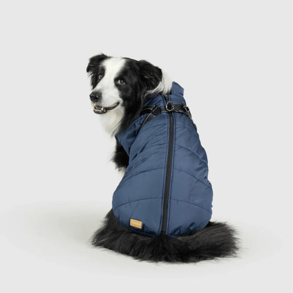 DoggyKings™ 3-in-1 Hondenjas