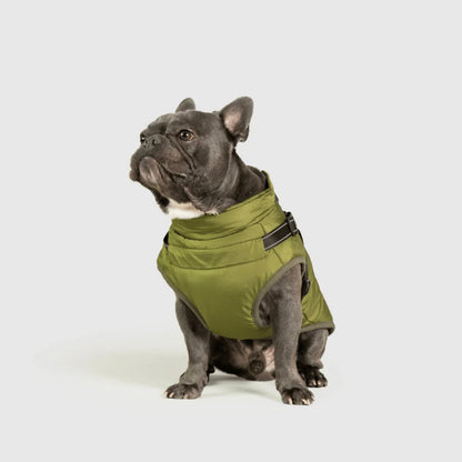 DoggyKings™ 3-in-1 Hondenjas