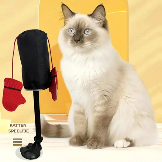 Bokszak Interactief Kattenspeeltje