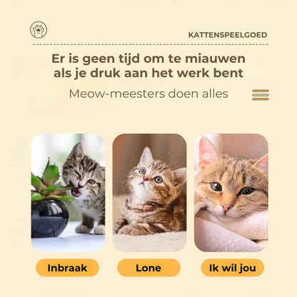 Bokszak Interactief Kattenspeeltje