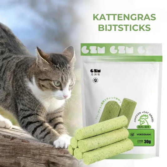 Kattengras Bijtstokjes (6st)