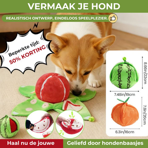 Jachtbeloning Fruit Hondenspel