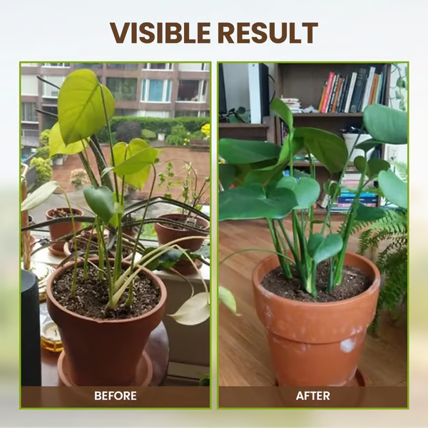 Minerale Bodemvoeding - Verbeter je plantgrond - 1+1 GRATIS