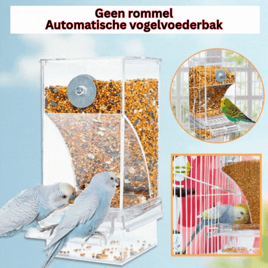 🔥Automatische vogelvoederbak zonder rommel