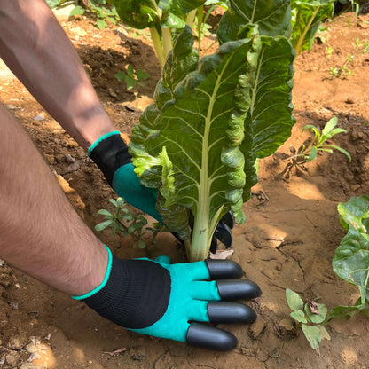 Tuinwerk geklauwde handschoenen (1 paar)
