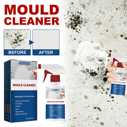 Anti-Schimmel Reinigings-Spray
