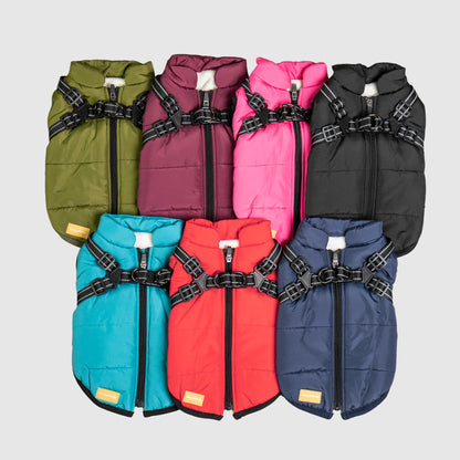 DoggyKings™ 3-in-1 Hondenjas