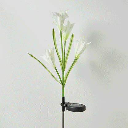 Zonne-energie LED Bloemenverlichting