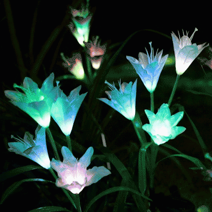 Zonne-energie LED Bloemenverlichting
