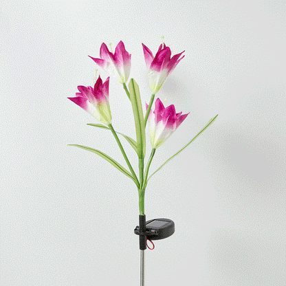 Zonne-energie LED Bloemenverlichting