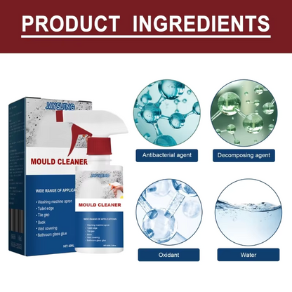 Anti-Schimmel Reinigings-Spray