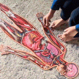 Levensgrote Anatomie Puzzel voor Kinderen