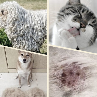 Dubbelzijdige Klittenborstel voor Huisdieren