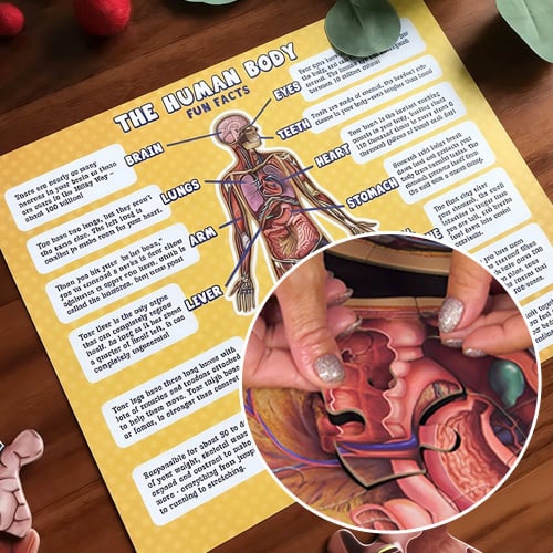 Levensgrote Anatomie Puzzel voor Kinderen